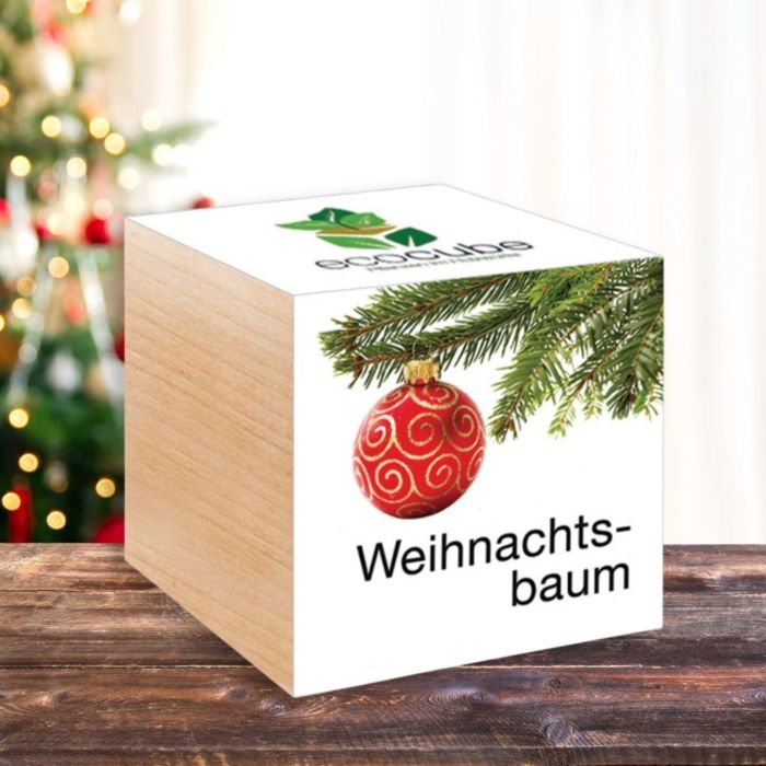 Kerstachtige ecocube - planten in houtblokken