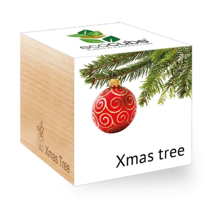 Kerstboom (engels) - Ecocube planten in houten blokken