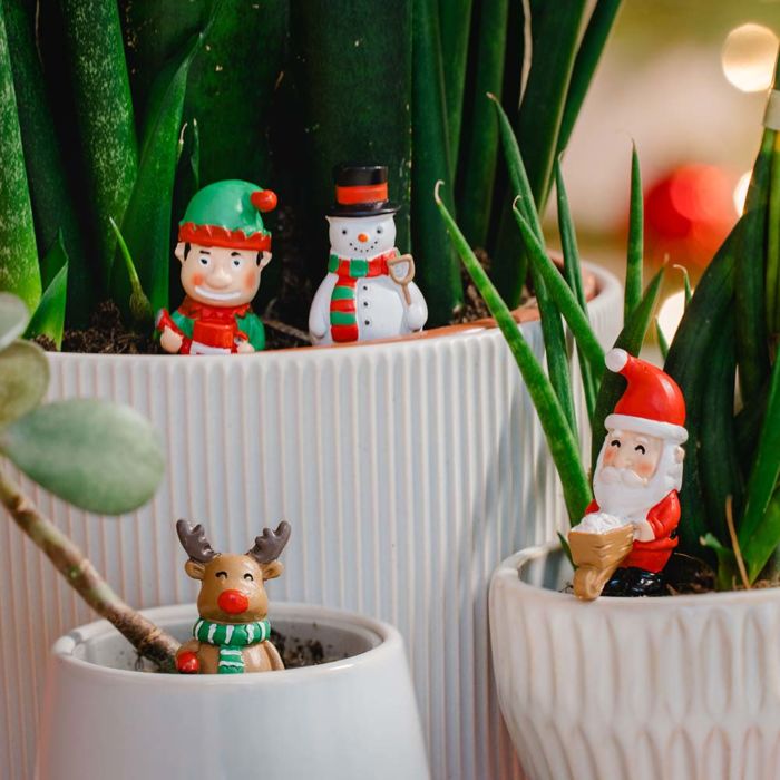 Kerstachtige plantetiket set van 4